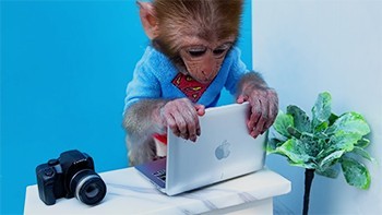 بن بن میمون بازیگوش : این داستان خرید اینترنتی