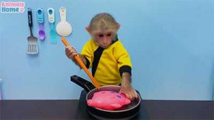 میمون بازیگوش - کمک کردن به کارهای خانه