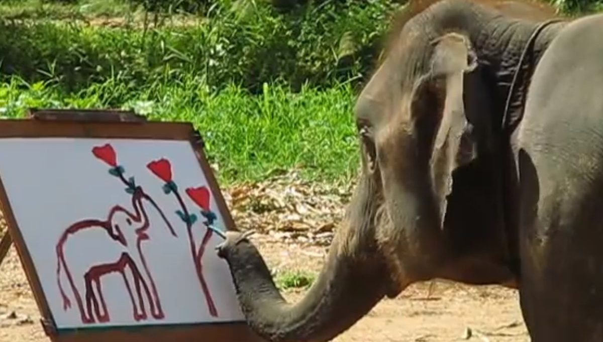 فیل نقاش